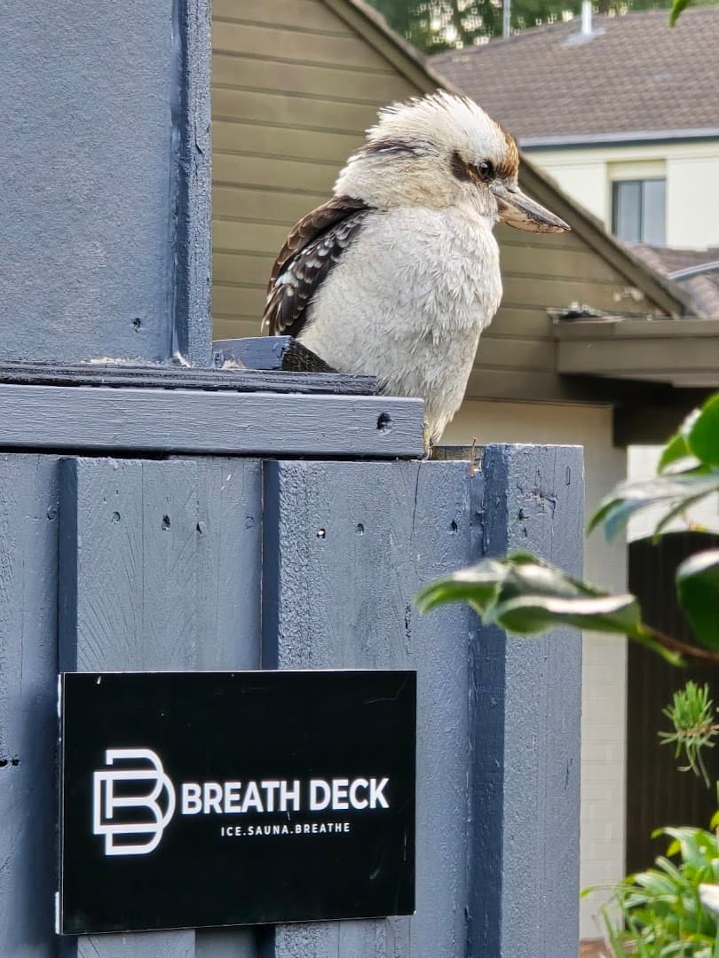 Breath Deck photo 5