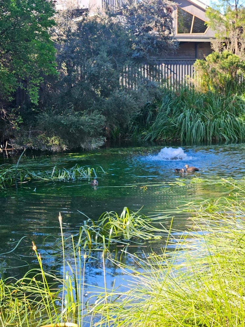 Peninsula Hot Springs photo 5