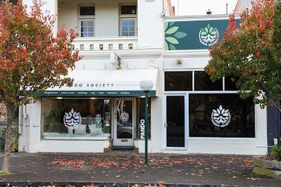Pando Society hero photo